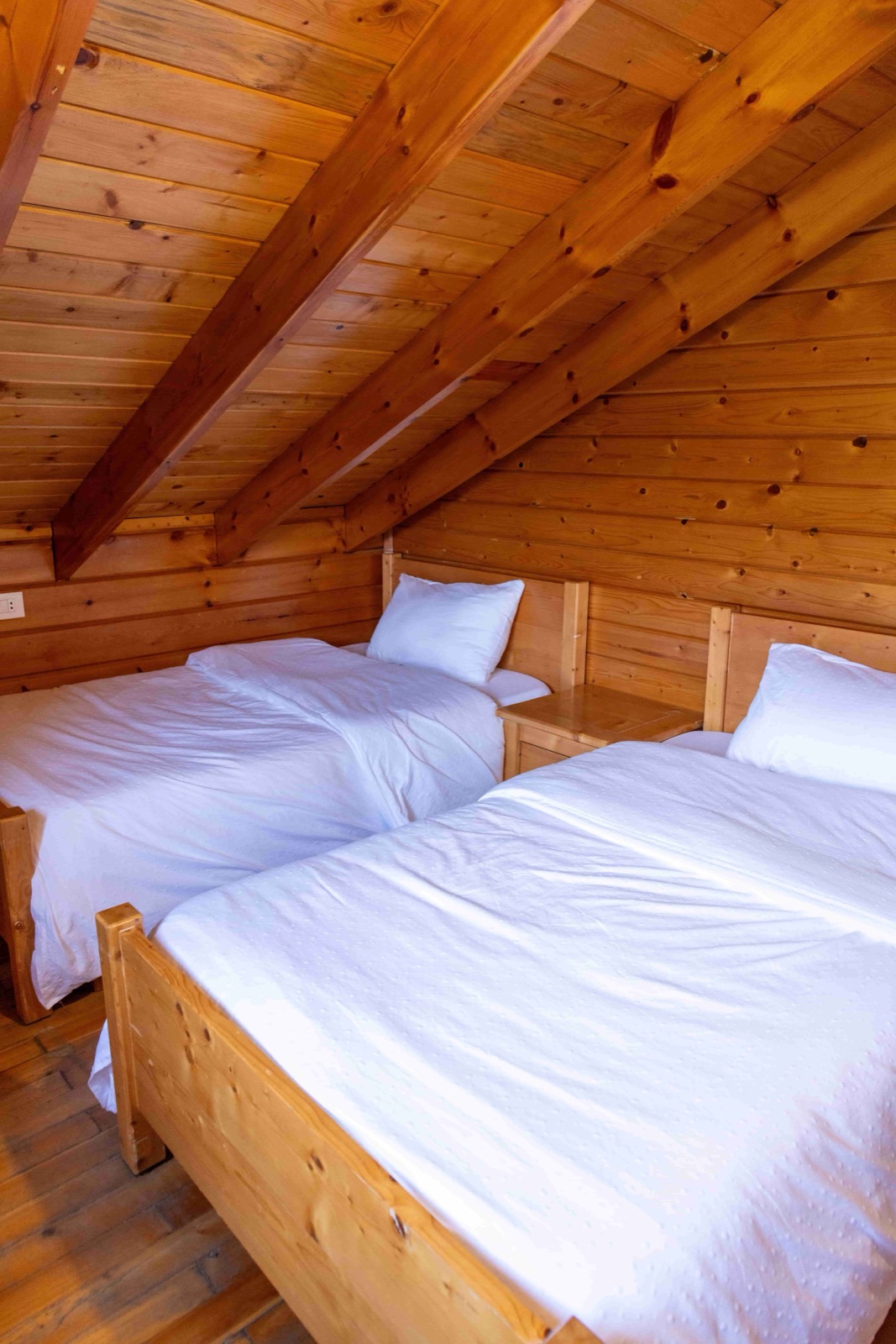 Wooden Villas (Semi-Detached) at Swizore Resort, photo 3
